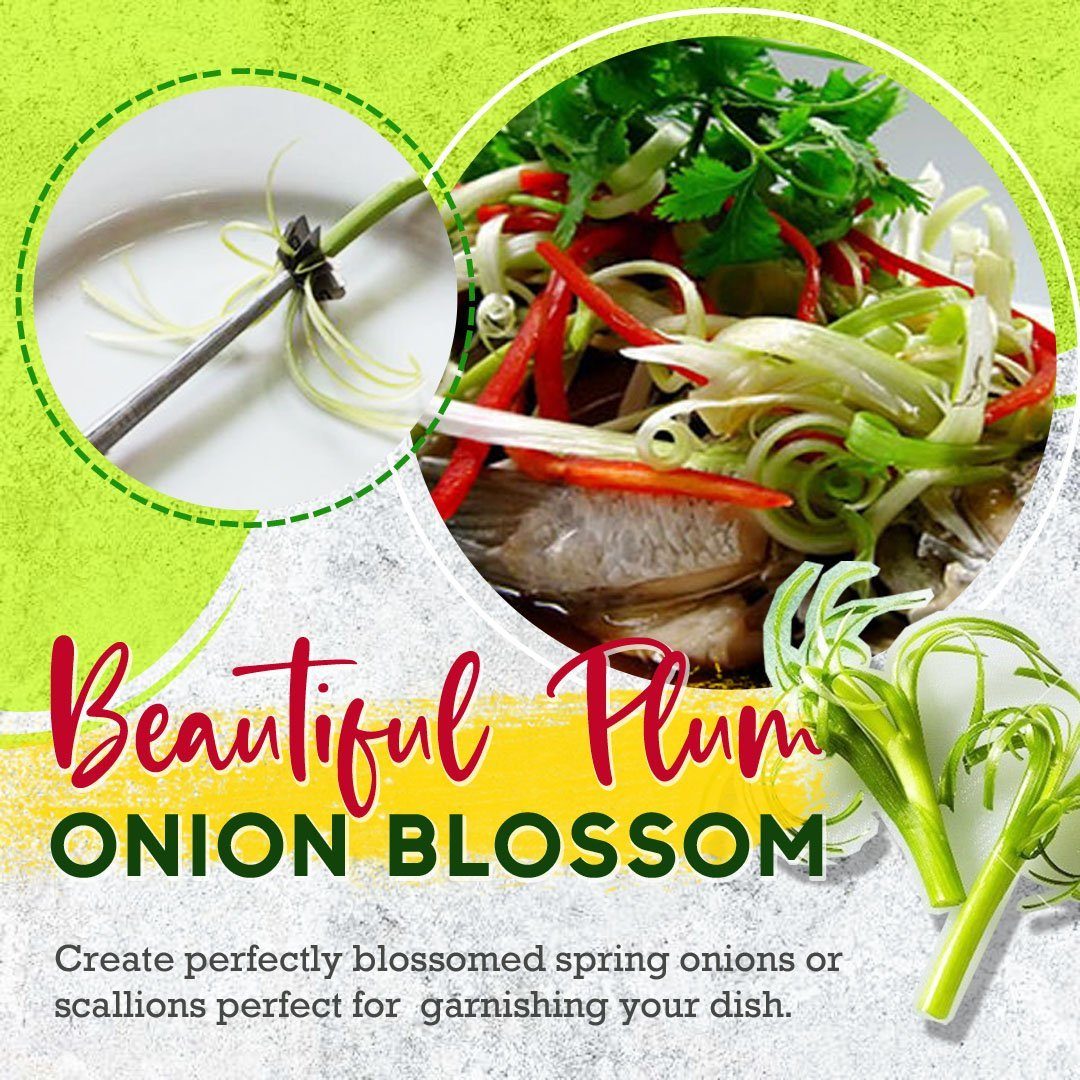 Stainless Steel Onion Blossom Slicer